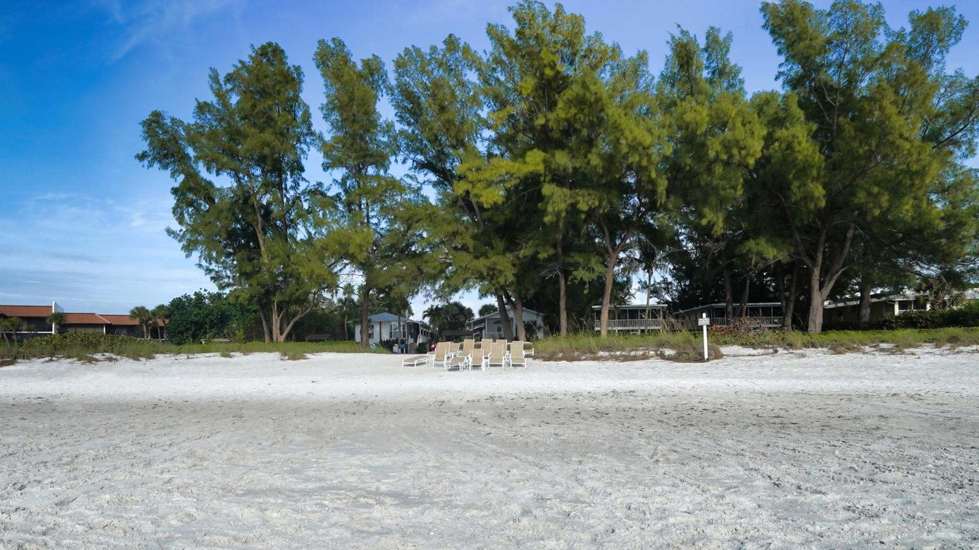 Little Gull Cottages ロングボートキー エクステリア 写真